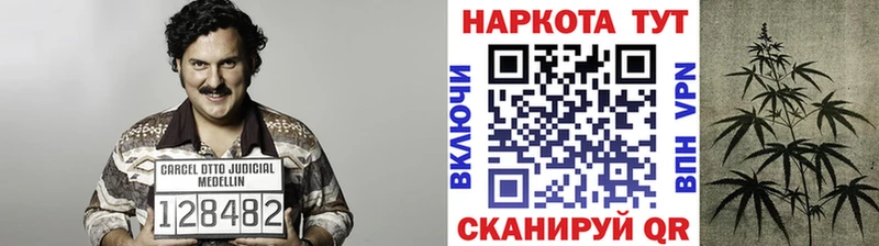 Магазины продажи наркотиков Каменск-Уральский Alpha-PVP  МЕФ  Псилоцибиновые грибы  Cocaine  Канабис 